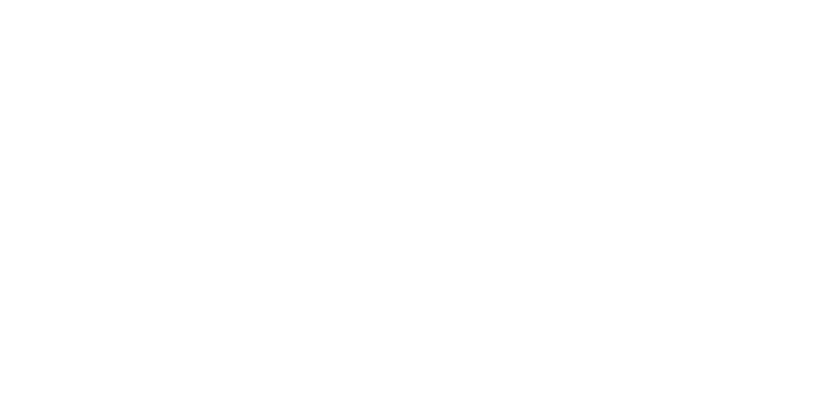 Raybil